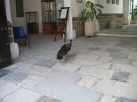 Rundgang durch das historische Zentrum von 