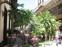 Rundgang durch das historische Zentrum von 