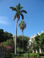 Plaza de Armas in Havanna