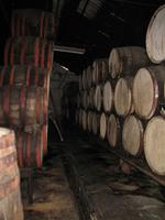 Besichtigung der Likörfabrik des Guayabita del Pinar