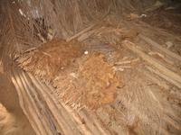 Besuch bei Bauernfamilie 