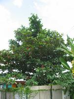 Besuch bei Bauernfamilie 