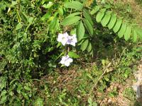 Besuch bei Bauernfamilie 