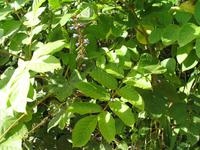 Besuch bei Bauernfamilie 