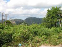 Besuch bei Bauernfamilie 