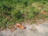 Besuch bei Bauernfamilie 