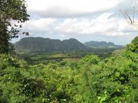 Mittagessen im Restaurant mit Panorama-Blick über das Valle de Viñales