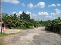 Mittagessen im Restaurant mit Panorama-Blick über das Valle de Viñales