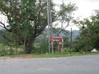 Mittagessen im Restaurant mit Panorama-Blick über das Valle de Viñales