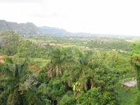Blick über das Valle de Viñales