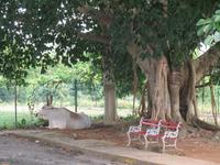 Aussichtspunkt beim Hotel Los Jazmines