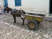 Rundgang durch Trinidad