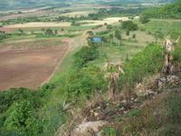 Aussichtspunkt mit der Bar 