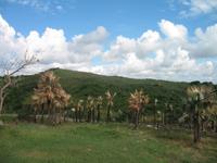 Aussichtspunkt mit der Bar 