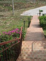 Aussichtspunkt mit der Bar 