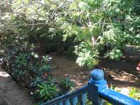 Manaca Iznaga mit dem 45 Meter hohen Iznaga-Turm