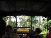 LKW-Fahrt zum Guanayara Naturpark