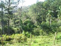 LKW-Fahrt zum Guanayara Naturpark