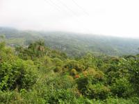 LKW-Fahrt zum Guanayara Naturpark