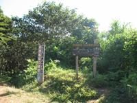 Wanderung im Guanayara Naturpark
