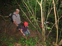 Wanderung im Guanayara Naturpark