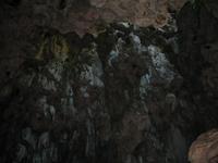 Wanderung im Guanayara Naturpark