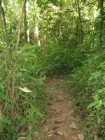 Wanderung im Guanayara Naturpark