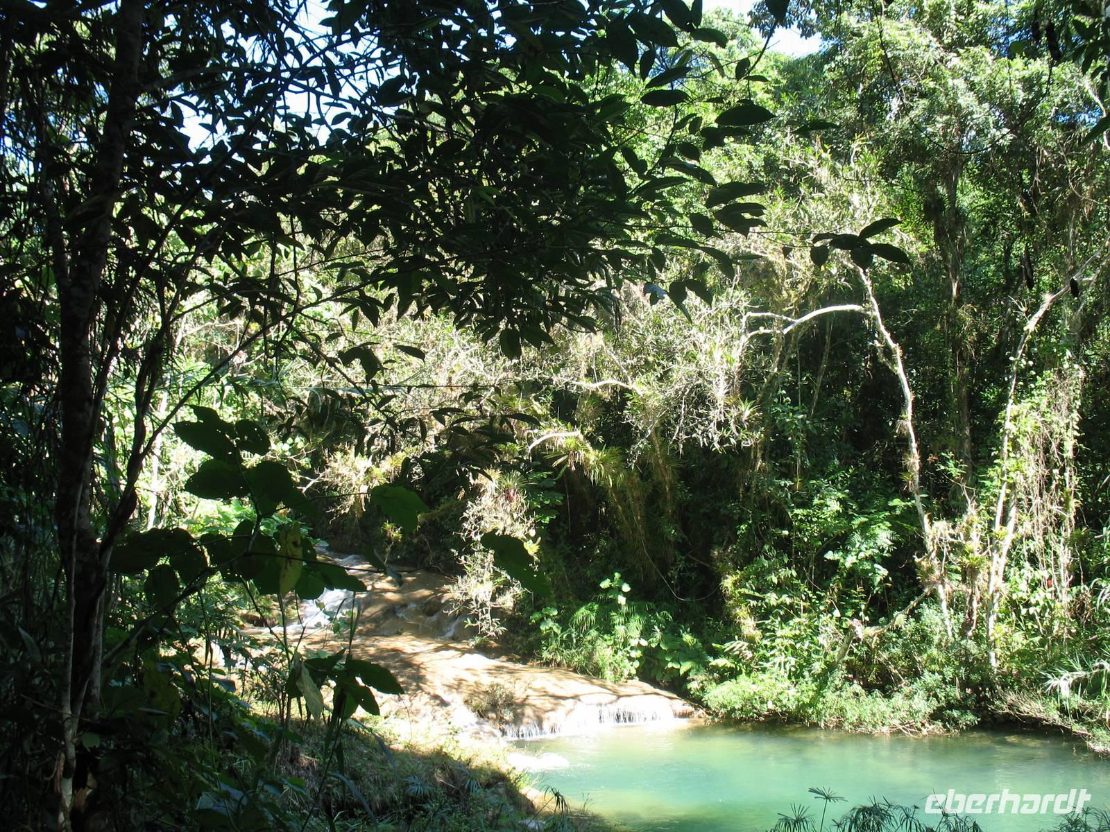 Wanderung im Guanayara Naturpark