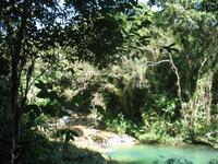 Wanderung im Guanayara Naturpark