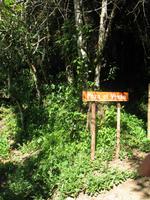 Bad in einem natürlichen Wasserbecken im Guanayara Naturpark