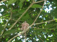 Wanderung im Guanayara Naturpark