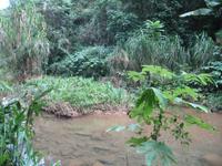 Wanderung im Guanayara Naturpark