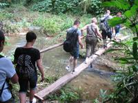 Wanderung im Guanayara Naturpark