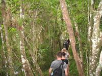 Wanderung im Guanayara Naturpark