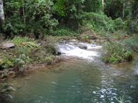 Wanderung im Guanayara Naturpark