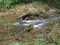 Wanderung im Guanayara Naturpark