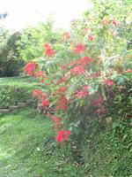 Mittagessen im Restaurant 