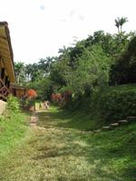 Mittagessen im Restaurant 