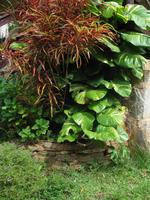 Mittagessen im Restaurant 