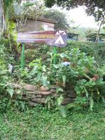 Mittagessen im Restaurant 