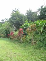 Mittagessen im Restaurant 