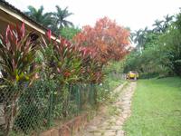 Mittagessen im Restaurant 