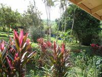 Mittagessen im Restaurant 