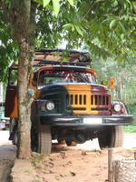 Mittagessen im Restaurant 