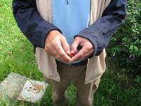 Casa Museo del Café im Guanayara Naturpark