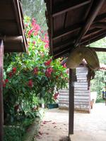 Casa Museo del Café im Guanayara Naturpark