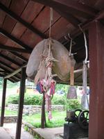 Casa Museo del Café im Guanayara Naturpark