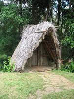Casa Museo del Café im Guanayara Naturpark