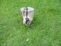 Casa Museo del Café im Guanayara Naturpark