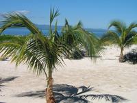 Mittagessen und Badeaufenthalt auf der Insel Cayo Blanco de Zaza